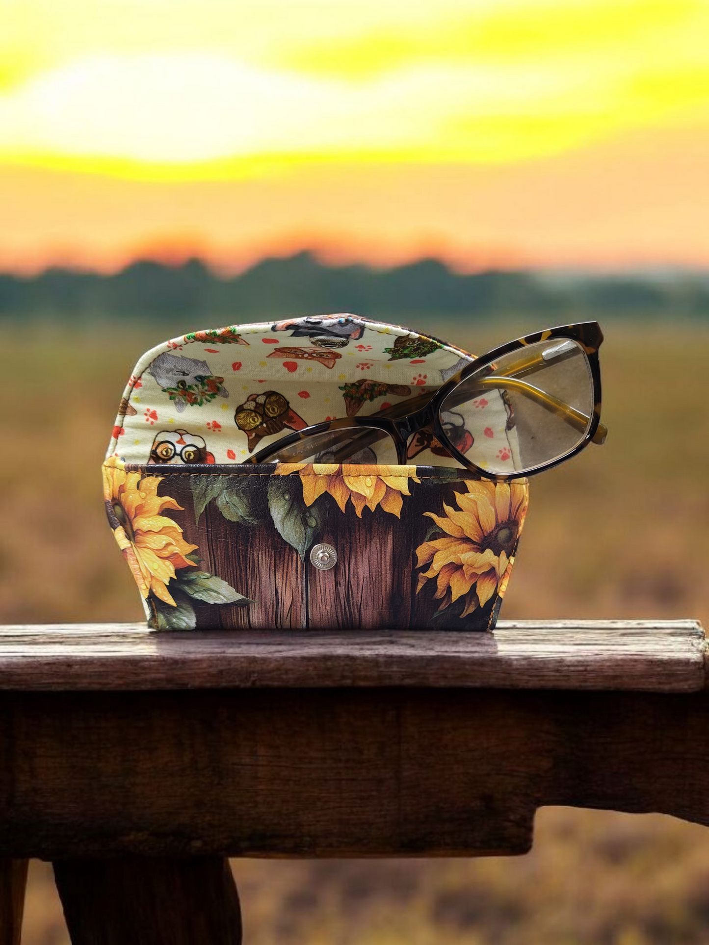 Eyeconic Eyeglass Case